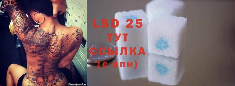 LSD-25 экстази ecstasy  как найти закладки  блэк спрут онион  Гатчина 